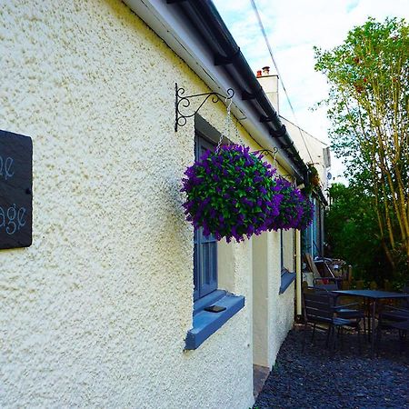 Staycation At Pine Cottage, A Newly Refurbished Holiday Cottage Goodwick 외부 사진