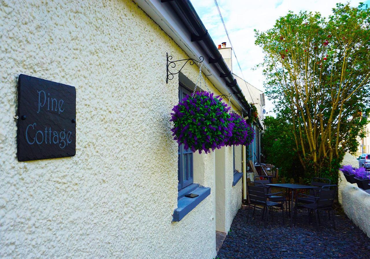 Staycation At Pine Cottage, A Newly Refurbished Holiday Cottage Goodwick 외부 사진